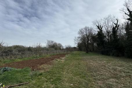 Istra, Filipana- Građevinsko zemljište na lijepoj lokaciji