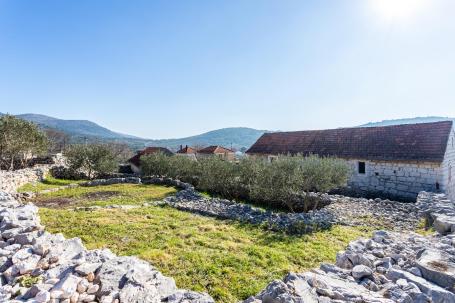 Trogir - autohtono dalmatinsko imanje 