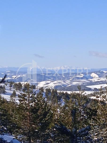 PLAC ČIGOTA ZLATIBOR !!!