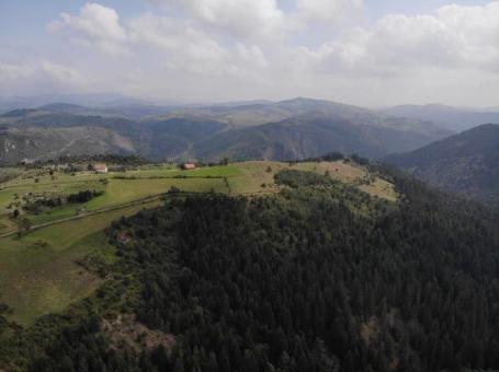 Prodaje se poljoprivredno i šumsko zemljište, 1. 01, 48 ha, Gujanička mala, Nova Varoš