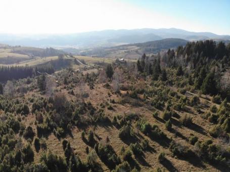 Prodaje se građevinsko  zemljište, 6169 m2, Komarani, Nova Varoš