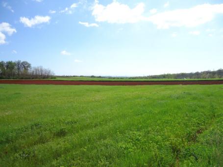 Agricultural land with the sea view