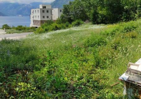 Urbanized land in Kotor