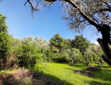 Building land for sale, Tivat, Kavac