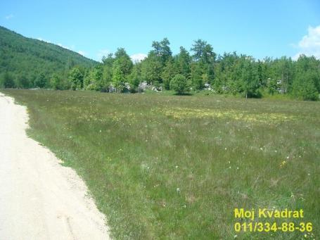 Crna Gora, Nikšić - Plužine, 1050a