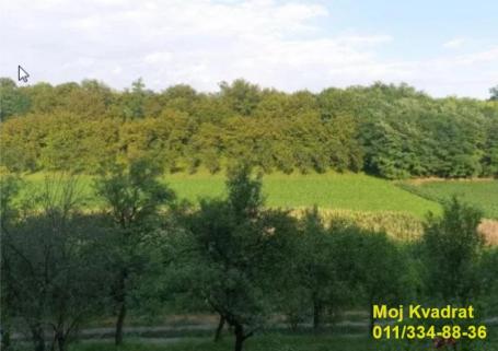 Fruška gora, Erdevik - Karađorđeva, 22. 98a