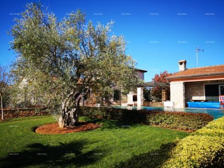 House Beautiful house with large pool