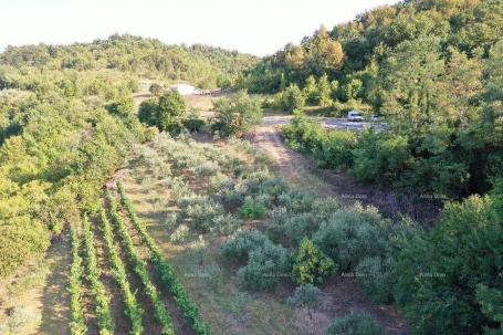 Agricultural land