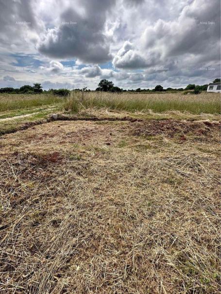 Landwirtschaftsgrundstück Verkauf von landwirtschaftlichen Flächen, Šišan