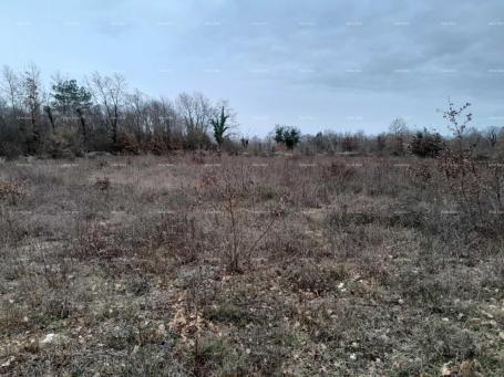 Building land BUZET, 7,000 m2, land, construction, sale.