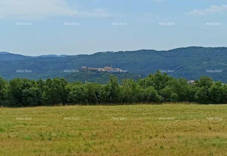 Building land Building land, Buzet.