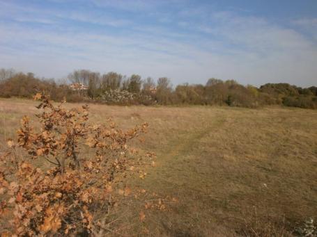 Građevinsko zemljište Velika parcela za gradnju obiteljske kuće ili vile