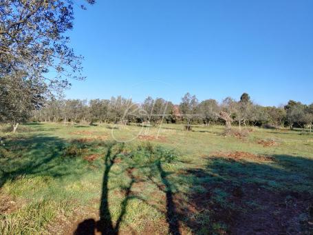 Land Galižana, Vodnjan, 7.673m2