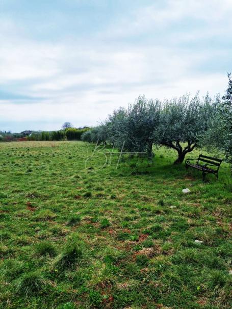 Građevinsko zemljište, Murine-Umag