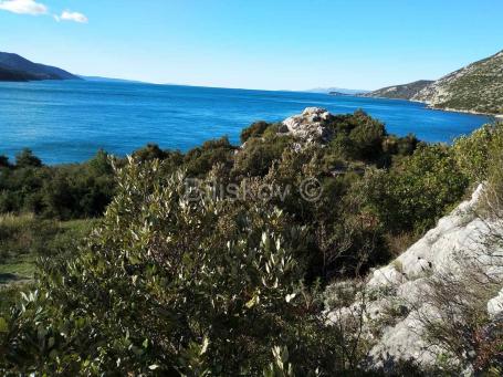 Pelješac, prodaja poljoprivredno zemljište 10897m2 uz plažu