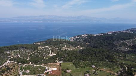 Brač, Sutivan, prodaja, poljoprivredno zemljište 24. 504m2