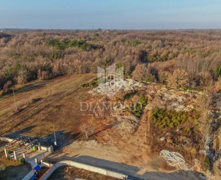 Marčana, okolica, građevinsko zemljište u prirodi