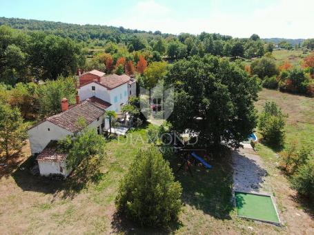 Labin, okolica, kuća sa bazenom i velikom okućnicom