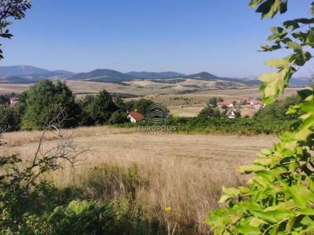 Branešci, Zlatibor ID#2774