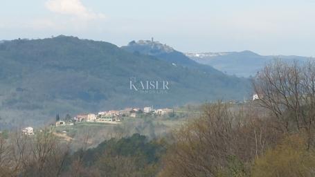 Istra, Motovun-poljoprivredno zemljište s pogledom na Motovun