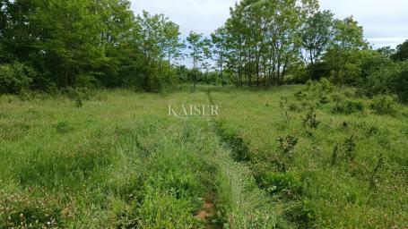 Istria - Barban - building plot, 970 m2