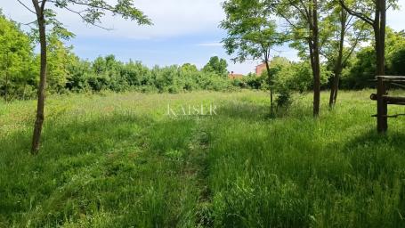 Istria - Barban - building plot, 970 m2