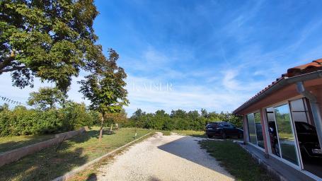 Marčana, surroundings - estate with a house and construction site, 20,000 m2