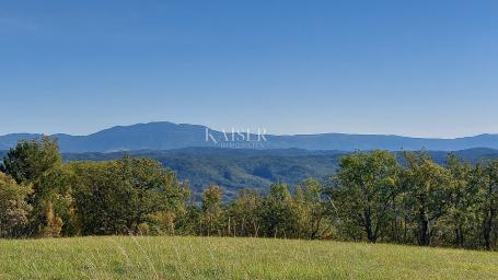 Istra, Motovun, građevinsko zemljište s dozvolama za luksuzne vile