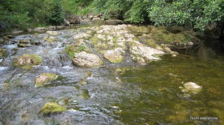 ZLATIBOR ZLATIBOR 4760m2 , 59000e