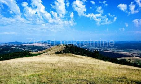 Zlatibor, Rudine, 30 ari