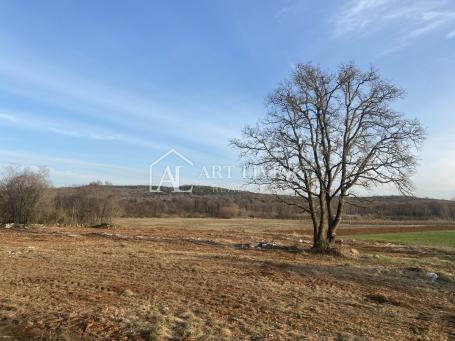 Istria - Bale, Extremely valuable agricultural land 11,200 m2