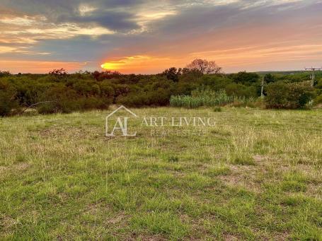 Umag-surroundings, beautiful agricultural land 1000 m2