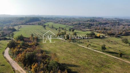 Umag, surroundings - attractive agricultural land in a beautiful location