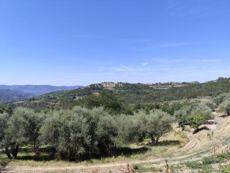 Istra, Buzet - starina s građevinskim zemljištem