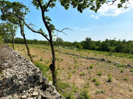 LABIN, SV. LOVREČ, VLAKOVO - građevinski teren 8600m2 za hotel /boutique hotel/ obiteljsku kuću/ vil