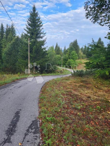 Land Stara Sušica, Ravna Gora, 6.600m2