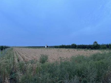 Građevinski plac između Temerina i Bačkog Jarka!