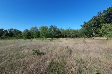 Istra, Baderna, poljoprivredno zemljište 12. 120m2