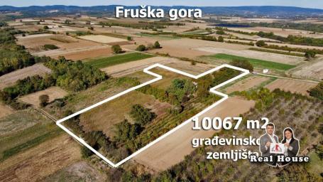 Hektar građevinskog zemljista i kuca na Fruskoj gori-Rivica