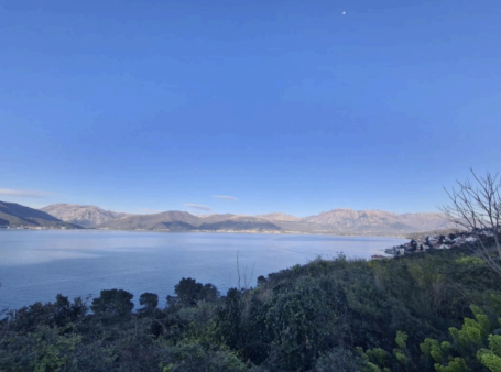 For sale land of 9512m2 in Krasici/Tivat