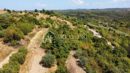 Istra, Buje - prostrano građevinsko zemljište na atraktivnoj lokaciji