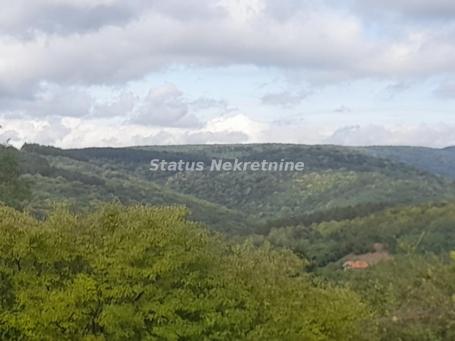 Vrdnik-Jazak-Velika Parcela 10800 m2 za kupce sa Posebnim stilom života sa Pogledom na pola Srema-06