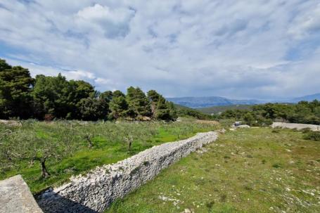 Brač, Pučišća, kuća prizemnica s velikim maslinikom od 8300 m2