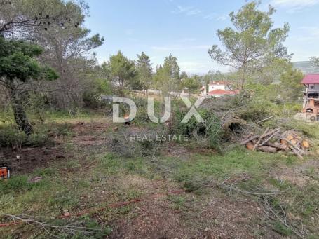 Land Pridraga, Novigrad, 484m2