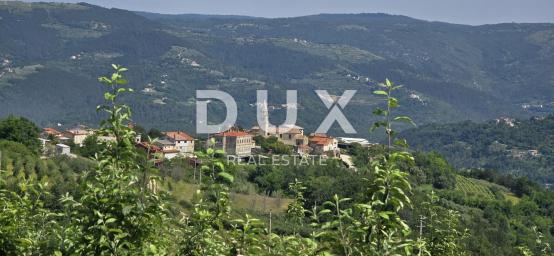 ISTRIA, MOTOVUN - A magical land with a breathtaking panoramic view! Osama!