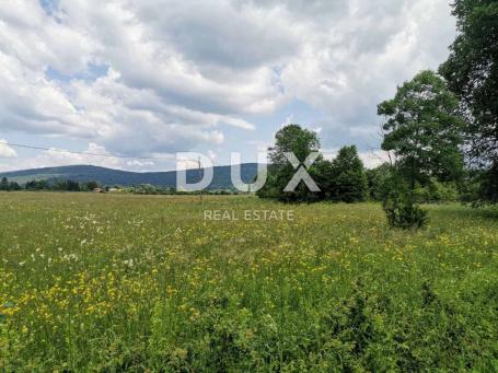 Land Ogulin, 33.654m2