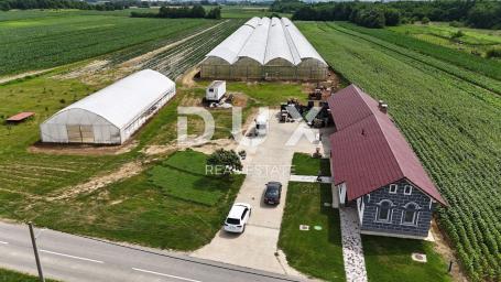 VIROVITICA, PITOMAČA – Ein geräumiges Grundstück für den Gemüseanbau, mit einem Haus und weiteren Ba