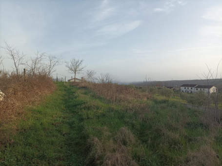 ISTRA, BARBAN - Građevinsko zemljište na mirnoj lokaciji