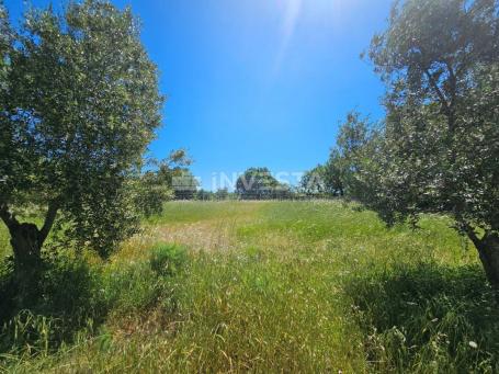 A large fenced building plot in the vicinity of Vodnjan