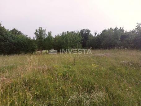 Tinjan, građevinsko zemljište 3197 m2 + 971 m2 poljoprivredno